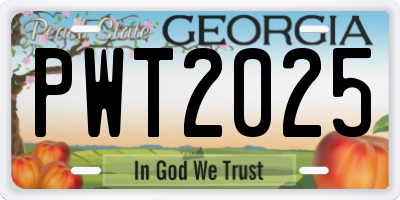 GA license plate PWT2025
