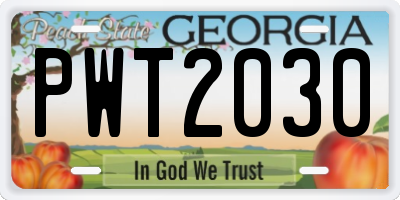 GA license plate PWT2030