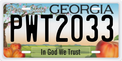 GA license plate PWT2033