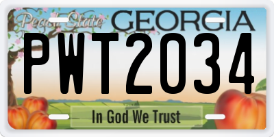 GA license plate PWT2034
