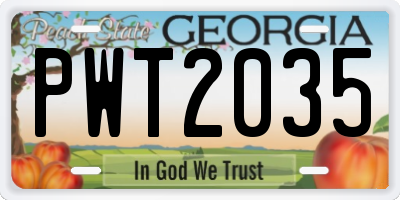 GA license plate PWT2035