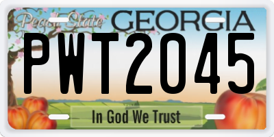 GA license plate PWT2045