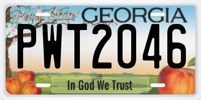 GA license plate PWT2046
