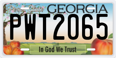 GA license plate PWT2065