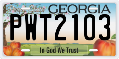 GA license plate PWT2103