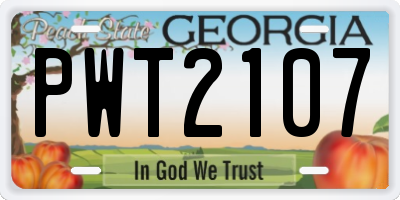 GA license plate PWT2107