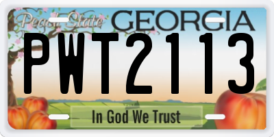 GA license plate PWT2113