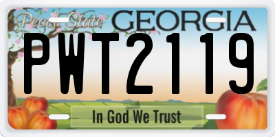 GA license plate PWT2119
