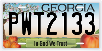 GA license plate PWT2133