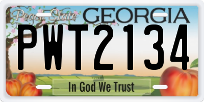 GA license plate PWT2134