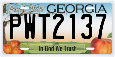 GA license plate PWT2137