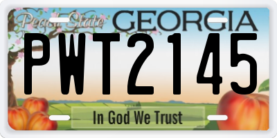 GA license plate PWT2145