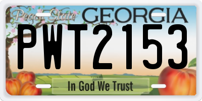 GA license plate PWT2153