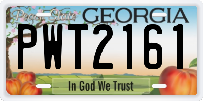 GA license plate PWT2161