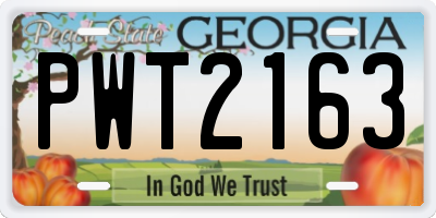 GA license plate PWT2163