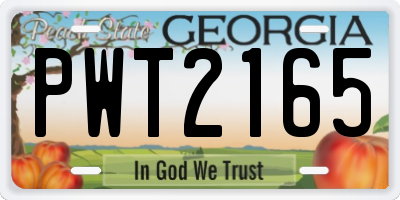 GA license plate PWT2165