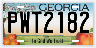 GA license plate PWT2182