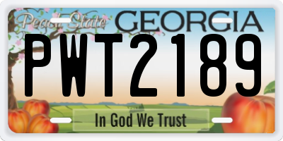 GA license plate PWT2189