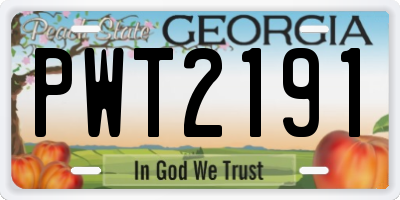 GA license plate PWT2191