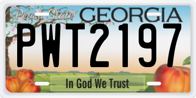 GA license plate PWT2197