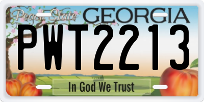 GA license plate PWT2213