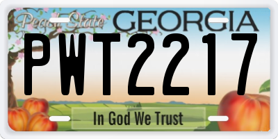 GA license plate PWT2217