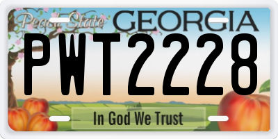 GA license plate PWT2228
