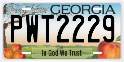 GA license plate PWT2229