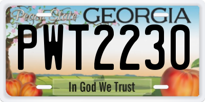 GA license plate PWT2230