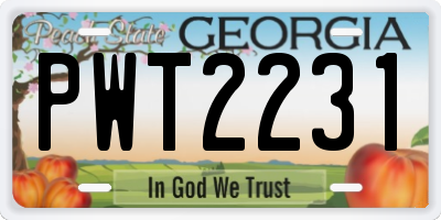 GA license plate PWT2231