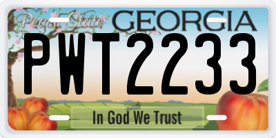 GA license plate PWT2233