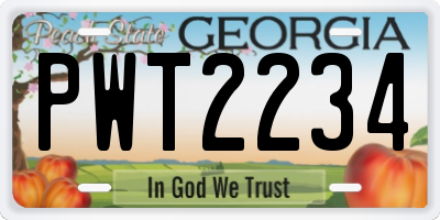 GA license plate PWT2234
