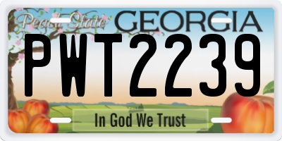 GA license plate PWT2239