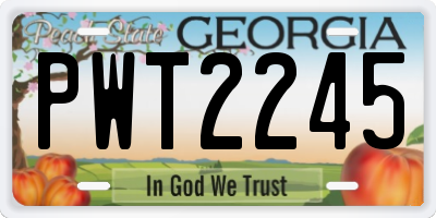 GA license plate PWT2245