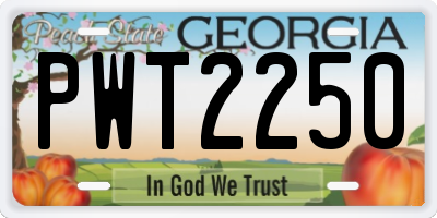 GA license plate PWT2250