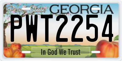 GA license plate PWT2254