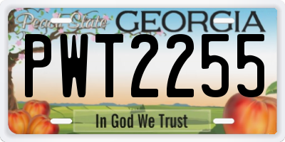 GA license plate PWT2255