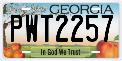 GA license plate PWT2257