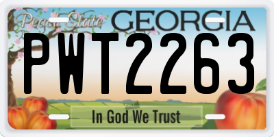 GA license plate PWT2263