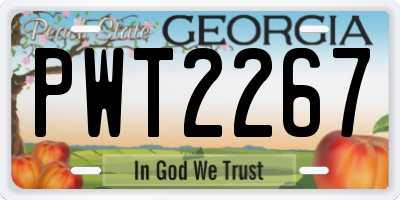 GA license plate PWT2267