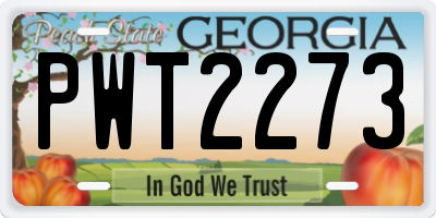 GA license plate PWT2273