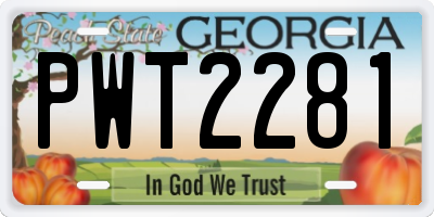 GA license plate PWT2281