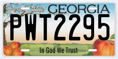 GA license plate PWT2295