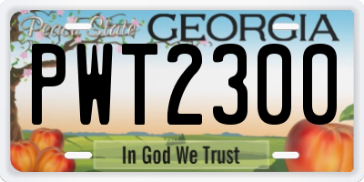 GA license plate PWT2300