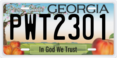 GA license plate PWT2301