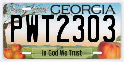 GA license plate PWT2303
