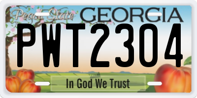 GA license plate PWT2304