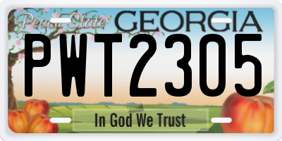 GA license plate PWT2305