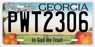 GA license plate PWT2306