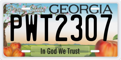 GA license plate PWT2307